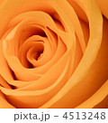 4513248