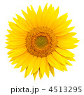 4513295