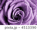 4513390