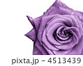 4513439