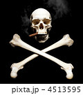 4513595