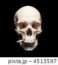 4513597