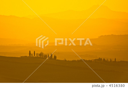 typical tuscan landscape