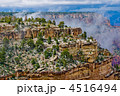 4516494