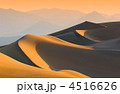 4516626