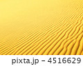 4516629