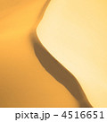4516651