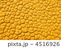 4516926