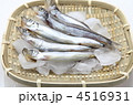 ししゃも