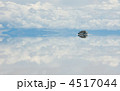 4517044