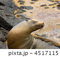 4517115