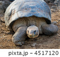 4517120