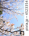 青空に桜