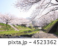 玉川堤の桜並木