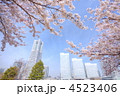 みなとみらいと満開の桜　イメージ