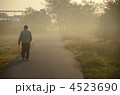 早朝の遊歩道