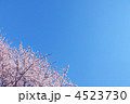 4523730