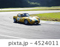 ジネッタ（GINETTA)