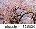 烏帽子山公園