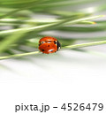 4526479
