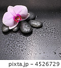 4526729