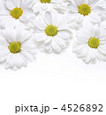 4526892