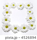 4526894