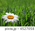 4527058