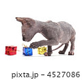 4527086
