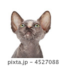 4527088