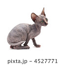 4527771