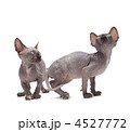 4527772