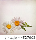 4527902