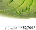 4527997