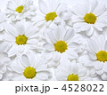 4528022