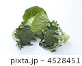 ブロッコリーとキャベツ