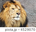 4529070