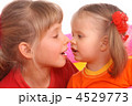 4529773