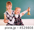 4529808