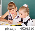 4529810