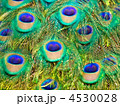 4530028