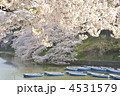 千鳥ヶ淵