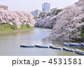 千鳥ヶ淵