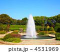 植物園の噴水