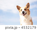 4532179