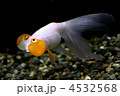 スイホウガン
