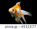 リュウキン