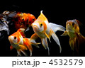 リュウキン