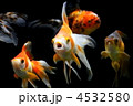 リュウキン