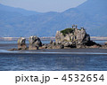 風流島　たはれ島